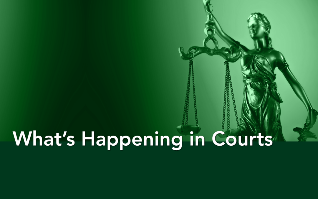 What’s Happening in Courts